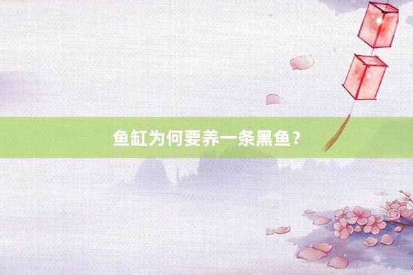鱼缸为何要养一条黑鱼？