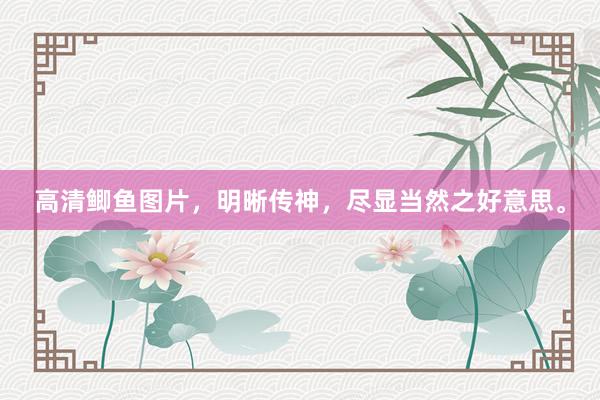 高清鲫鱼图片，明晰传神，尽显当然之好意思。