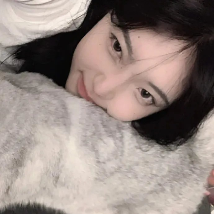 四光猪现蠢记